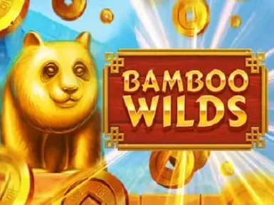 WhyNotBet Casino screenshot